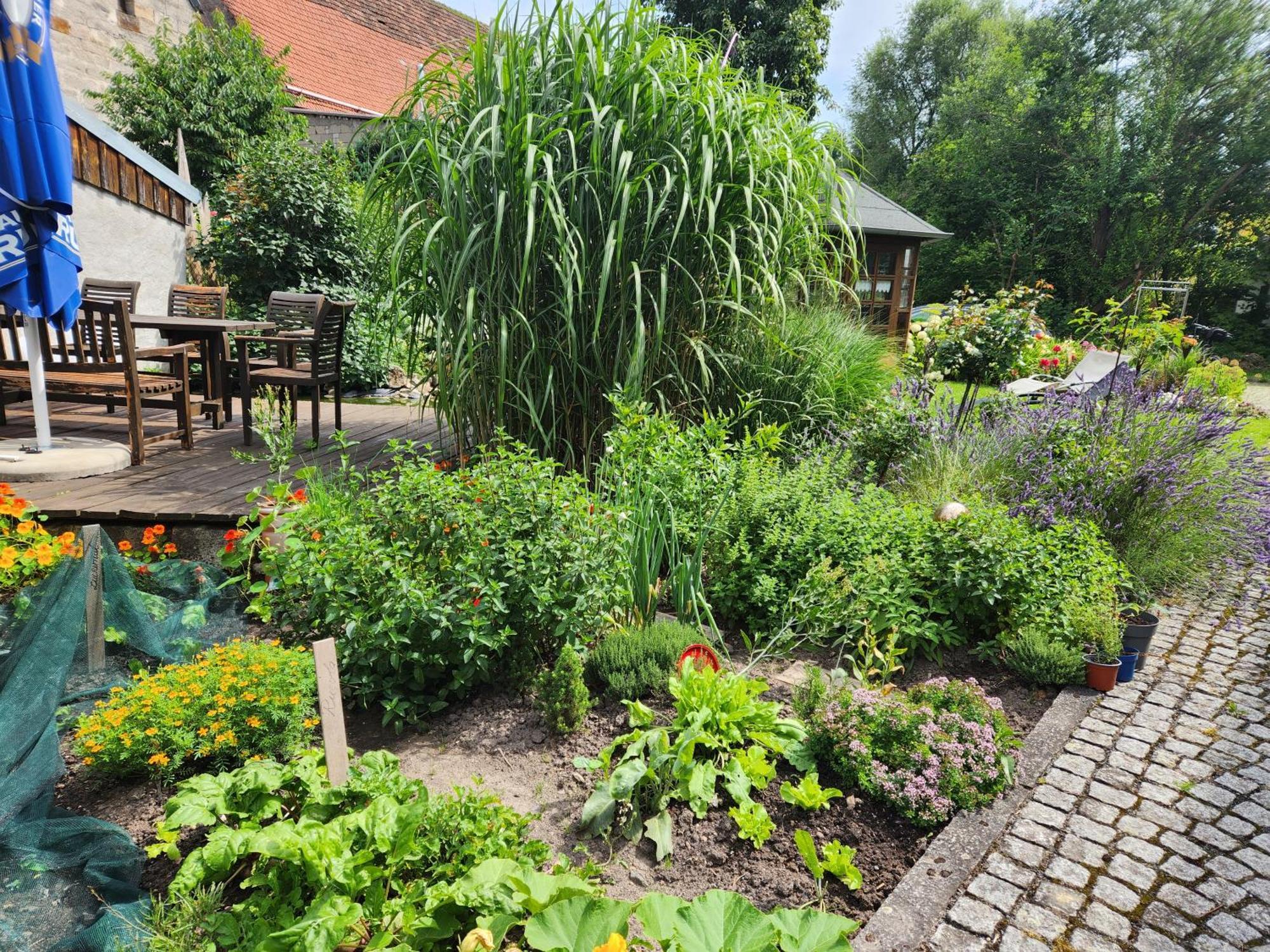 Familienfreundlich Im Naturpark Hassberge Mit Gehobener Gastronomie Kirchlauter 外观 照片